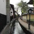 古川にも立ち寄ってみるの写真_111068