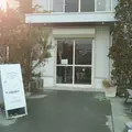 玉木新雌の写真_1113381