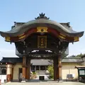 高山別院（照蓮寺）の写真_111375