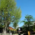 飛騨国分寺の写真_111378