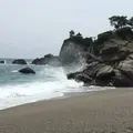 桂浜の写真_111384