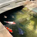 殿町通りの写真_1115646