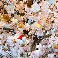 星野リゾート トマム ホタルストリートの写真_1115809