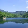 宇都宮市森林公園の写真_111769