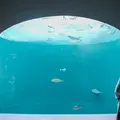 四国水族館の写真_1118406