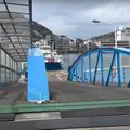 尾道渡船 兼吉 乗り場の写真_1119870