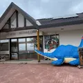砂湯レストハウス レタラチップの写真_1127803