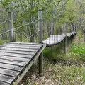 釧路湿原　吊り橋の写真_1127847
