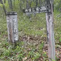 ひだまり広場の写真_1127853