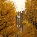 東京大学の写真_112812
