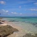 黒島の写真_112834