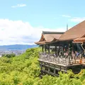 清水寺の写真_1128626