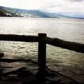 磯料理・海辺の湯の宿　平鶴の写真_113070