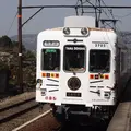 たま電車の写真_113087
