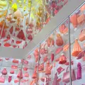La Galerie Diorの写真_1130961