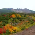 十勝岳望岳台の写真_113131
