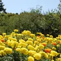 のこのしまアイランドパークの写真_113155