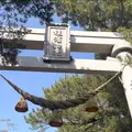 桂濱神社の写真_1132099