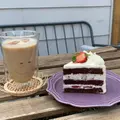 シモキタシマイの写真_1132914