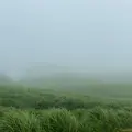 大観峰の写真_1133056