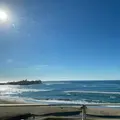 はまなす海洋館の写真_1134257