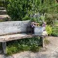 Full Fullの写真_1135330