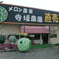 寺坂農園メロン直売所の写真_113556
