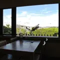 魚華の写真_113654