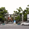 水の都大垣の湧き水の写真_113693