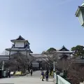 金沢城公園の写真_1137606