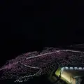白米千枚田の写真_1137846