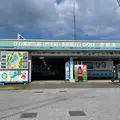 びわ湖遊覧船(竹生島・多景島行)のりば 彦根港の写真_1138719