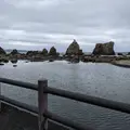 橋杭岩の写真_1140724