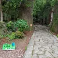 大門坂の写真_1140737