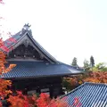 永観堂（禅林寺）の写真_114117