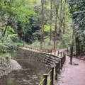 等々力渓谷の写真_1142068