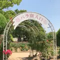 RSKバラ園の写真_1143974