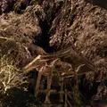 浄専寺の写真_114432