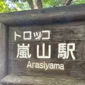 トロッコ嵐山の写真_1144860