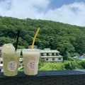 かぜの杜 まど花の写真_1149742