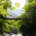 祖谷のかずら橋の写真_115063