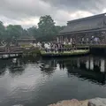 忍野八海の写真_1152063