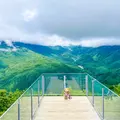 ハクバ マウンテンハーバーの写真_1153002