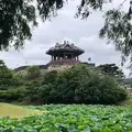 訪花隋柳亭の写真_1154489
