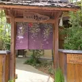 竹やぶの写真_115528