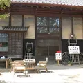 かやの木の写真_115533