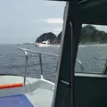 堂ケ島マリンの写真_115591
