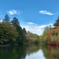 雲場池の写真_1155993