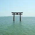 白鬚神社の写真_115652