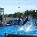 マリンピア日本海の写真_115700